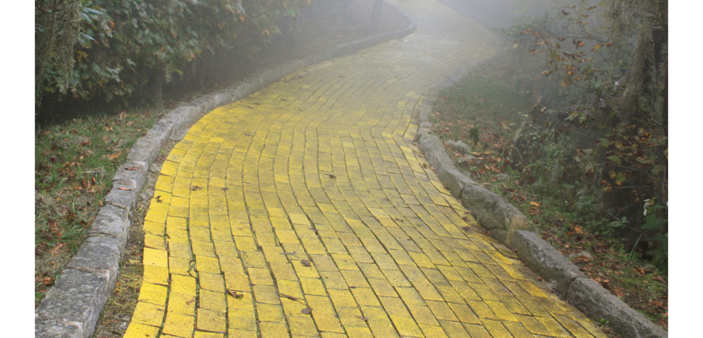 Following My Yellow Brick Road | Liz Camaur | SUE Talks